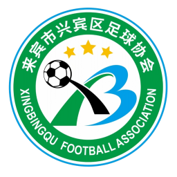 来宾市兴宾区队