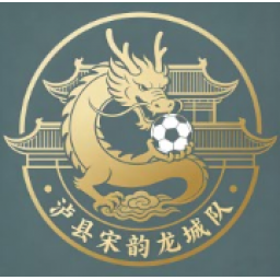 泸县宋韵龙城队